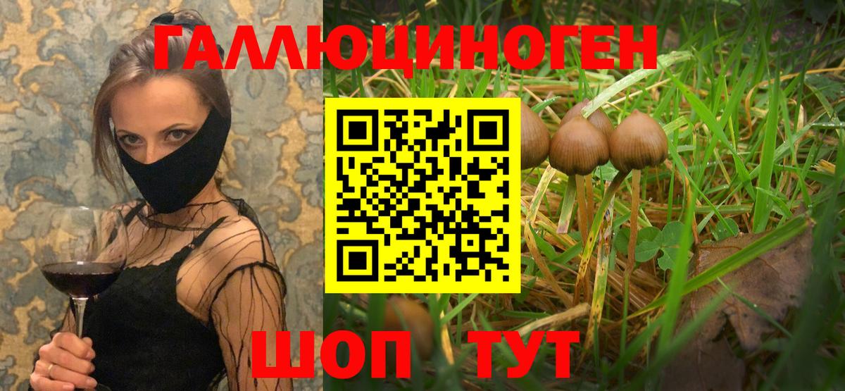 Псилоцибиновые грибы MAGIC MUSHROOMS  Вход с VPN  Москва 